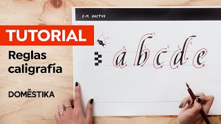 TUTORIAL CALIGRAFÍA Reglas básicas para DIBUJAR LETRAS  Paola Vecco  Domestika [upl. by Heiney]