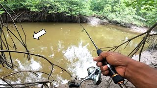 Ini Baru Spot Mancing Alami Puluhan Ekor Kakap MJ Menampakan DiriUL Casting [upl. by Zalucki51]