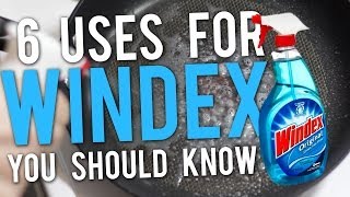 6 Uses for Windex You Should Know [upl. by Maupin]