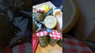 WINTER SALBEI ZITRONEN PESTO pesto foodie foodideas herbs healthy food [upl. by Adamok]