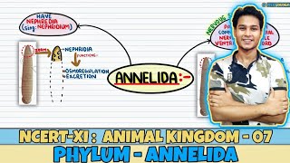 Animal Kingdom Lec 7 Phylum Annelida Class 11 NEET Neetology [upl. by Ken]