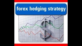 Forex Hedging Strategy Guaranteed Profit [upl. by Butch529]