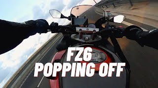 Yamaha FZ6 acceleration and power wheelies  Dominator Exhaust [upl. by Hardej]