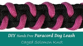 DIY Paracord Dog Leash Hands Free Caged Solomon [upl. by Steele]