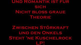 Die Ärzte  Schrei Nach Liebe with Lyrics [upl. by Musa354]