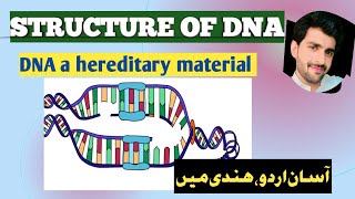 Structure of DNAStructure of Double HelixDNA moleculeCell biology DNa structureOrganization [upl. by Seymour]