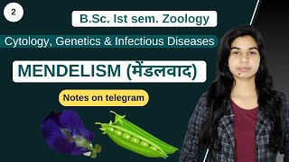 Cytology Genetics amp Infectious Diseases  MENDELISM मेंडलवाद  हिंदी में  Zoology [upl. by Elades233]