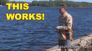 Drop Shot from the Bank  How to  Bass Fishing [upl. by Au]