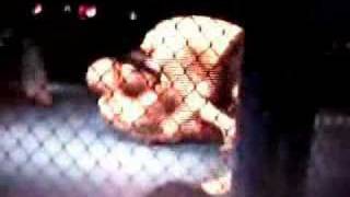 To Shin Do Ninjutsu Ninja Vs MMA [upl. by Estevan]