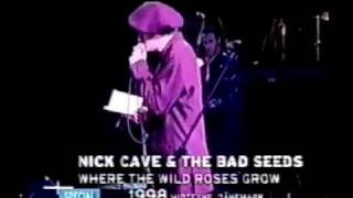 Nick Cave amp Blixa Bargeld  Where the Wild Roses Grow Live 1998 [upl. by Ynnad]