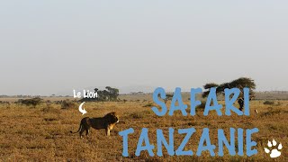 Une semaine de safari en Tanzanie  Vidéo Voyage Tanzania Zanzibar [upl. by Esimehc]