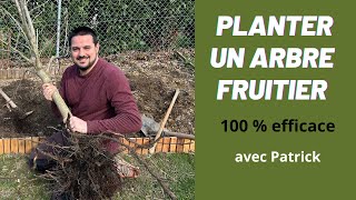 Comment Planter Un Arbre Fruitier  Guide Complet pour Réussir [upl. by Aicala203]