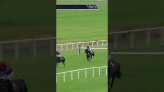 Winning hurdling debut from Aurora Vega horse horseracing racingtv britishhorseracing [upl. by Perl]