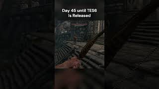 I could do this forever  Day 45 until TES6 is Released skyrim theelderscrolls elderscrolls [upl. by Ahsim270]