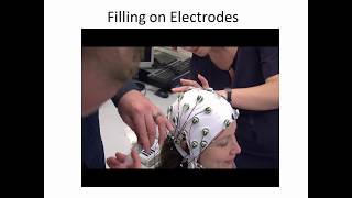 How to perform an EEG experiment [upl. by Anima]