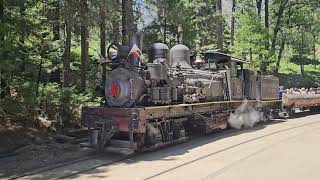 Yosemite Sugar Pine Railroad [upl. by Clance]