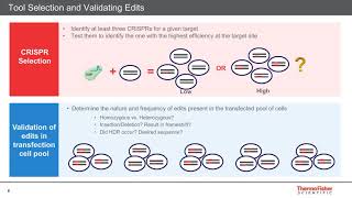 Genome Editing for Functional Genomics and Drug Discovery [upl. by Maxentia]