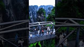 Wonders at Zhangjiajie National Forest Park zhangjiajie travel chinaheritage travelchina [upl. by Gower]