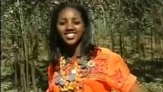 Traditional amharic Music Manalemosh Dibo Gonder [upl. by Eenehs]