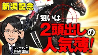 【新潟記念2024予想】2頭出しでも狙いは人気薄！○○厩舎の勝負パターンで臨む1頭を見逃すな！ [upl. by Dorin]