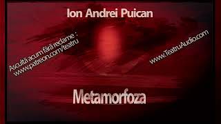 Ion Andrei Puican  Metamorfoza 2014 [upl. by Elcarim]