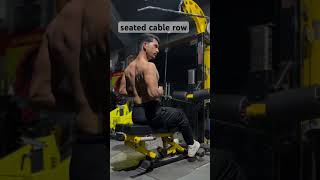 seated cable row  exercise at gym  no pain no gain  back workout at gym [upl. by Nnaul]