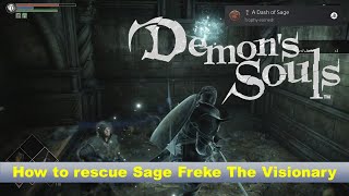 DEMON SOULS  How to rescue Sage Freke The Visionary  A Dash Of Sage TrophyAchievement [upl. by Oxley]