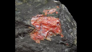 REALGAR  Hiszpania Asturia Pola de Lena Soterraña Mine Minerały amp skamieniałości [upl. by Yelkrab]