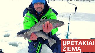 Poledinė vaivorykštinių upėtakių žvejyba tvenkinyje  Ice Fishing Rainbow Trout [upl. by Ived]