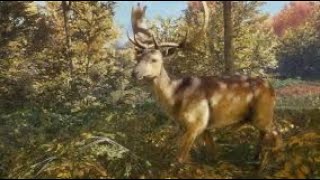 Fallow deer great one grind theHunter Call of the Wild [upl. by Jepum632]