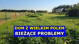 Bieżące Problemy  Dom z Wielkim Polem Płot Traktor Sprzęty Prąd Ogrzewanie Kury Nawadnianie [upl. by Earla912]