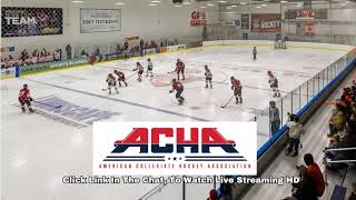 Michigan State University vs Aurora University WD2  ACHA Womens Hockey 2024 [upl. by Munafo415]