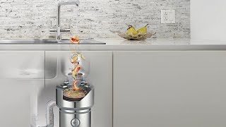 How to use an InSinkErator Food Waste Disposer [upl. by Massarelli]