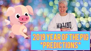 The year of the PIG 2019 Chinese animal horoscope for the year 2019 [upl. by Cesare593]