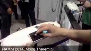 NAMM 2014 Moog Theremini [upl. by Kryska653]