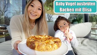 Baby Vogel ausbrüten 😍 Apfelkuchen backen mit Elisa amp Papas Geburtstag planen Mama VLOG Mamiseelen [upl. by Ensoll]