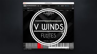 VWinds Flutes Overview [upl. by Eenej]