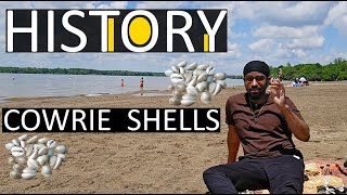 The Surprising History of Cowry Shells [upl. by Towill]