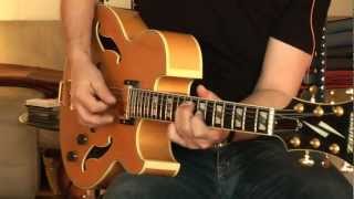 Ibanez Pat Metheny PM 100 Part2 with Flatwounds [upl. by Einnij]