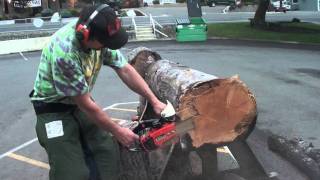 The chainsaw guy log testing Echo CS 351VL Chainsaw 7 19 [upl. by Ataga651]