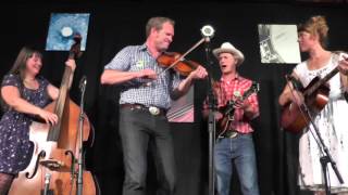 Foghorn Stringband Alberswill Switzerland May 24 2014 [upl. by Niarfe507]