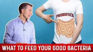 What is the Best Food for Good Friendly Bacteria – Dr Berg [upl. by Schofield]