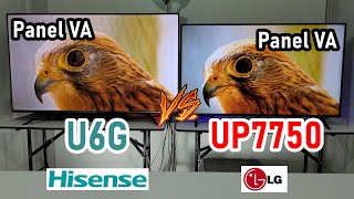 Hisense U6G vs LG UP7750 Smart TVs 4K con Panel VA ¿Cuál es Mejor [upl. by Valdas]