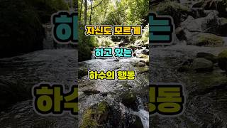 자신도 모르게 하고 있는 하수의 행동 명언 자기계발 인생조언 [upl. by Anomar]