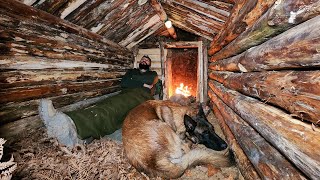 Building Warm Bushcraft Survival Shelter in Wildlife Fireplace Campfire Cooking ASMR DIY [upl. by Namyh]