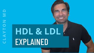 Understanding HDL amp LDL Cholesterol – Cholesterol Ratios Explained [upl. by Dadelos]