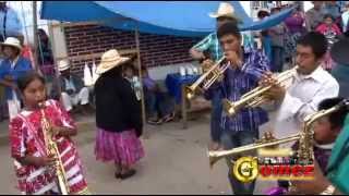 ASÍ SE LUCIO LA BANDA DE VIENTO DEL RANCHO DE LOS HILARIOS EN METLATONOC GRO [upl. by Rahs]