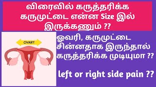 Egg size Ovary size and pregnancy in tamil  Normal egg size to conceive naturally in Tamil [upl. by Inirt445]