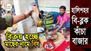 বিব্লক কাঁচা বাজার  BBlock Kacha Bazar  Halishahar  Chattogram  Krishi Vlog  Channel Krishi [upl. by Elatsyrk]