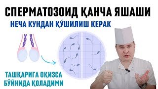 ЭРКАК УРУҒИ ЯШОВЧАНЛИГИ БОЛА ҚИЛИШГА НЕЧА КУНДАН АЛОҚА ҚИЛИШИ КЕРАК ТАШҚАРИГА ОҚИЗСА БОЛА БЎЛАЛИМИ [upl. by Tann]